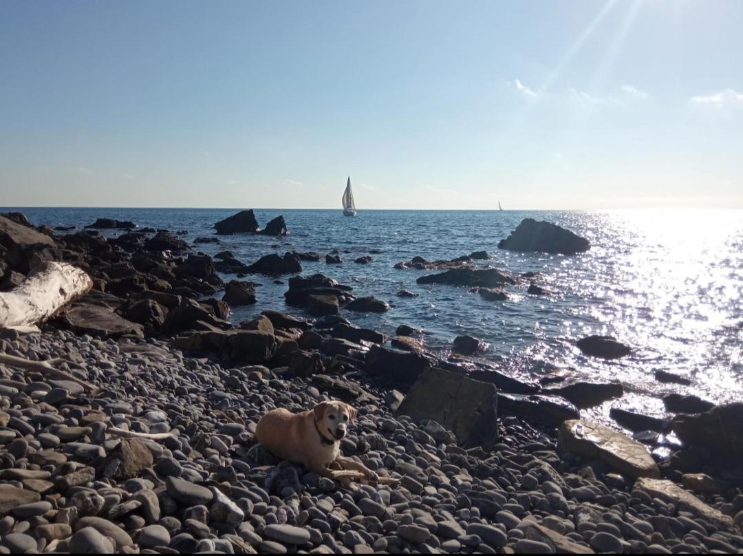 Cluxury-Torre Dei Saraceni Boutique Apt By The Sea Beach, Pool,Private Jacuzzi, Parking Cervo Exteriér fotografie